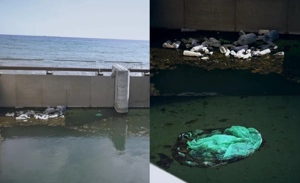 Alpha Report: Environmental Disaster Unfolds in Akrotiri