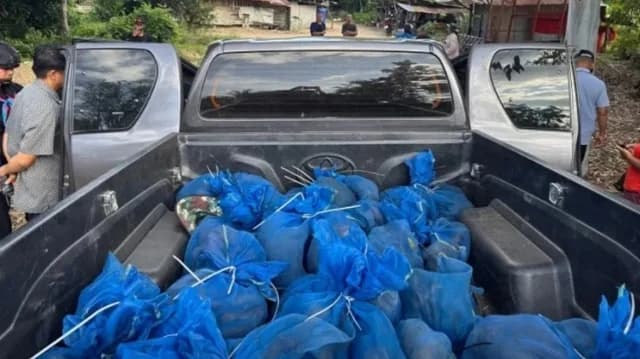 Tailandia: Arrestan a contrabandistas con 81 monos y drogas