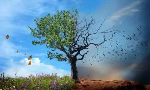 Chipre: Ministerio de Turismo prioriza la adaptación al cambio climático