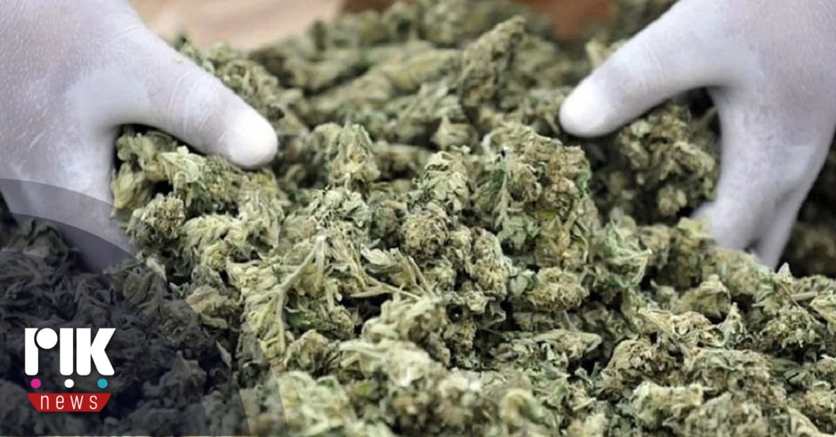 CY: YKAN incinera drogas y esteroides de más de 1,100 empresas