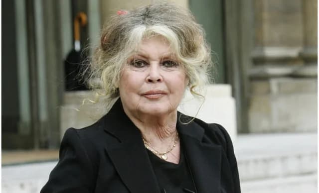 Brigitte Bardot Back in Hospital Amid Health Concerns