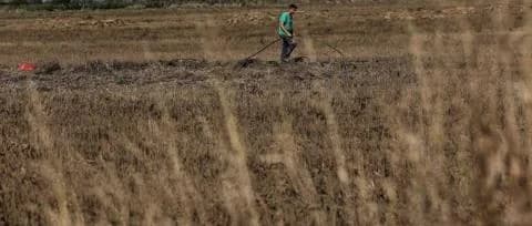 Αποζημιώσεις €10,2 εκατ. σε αγρότες λόγω ξηρασίας