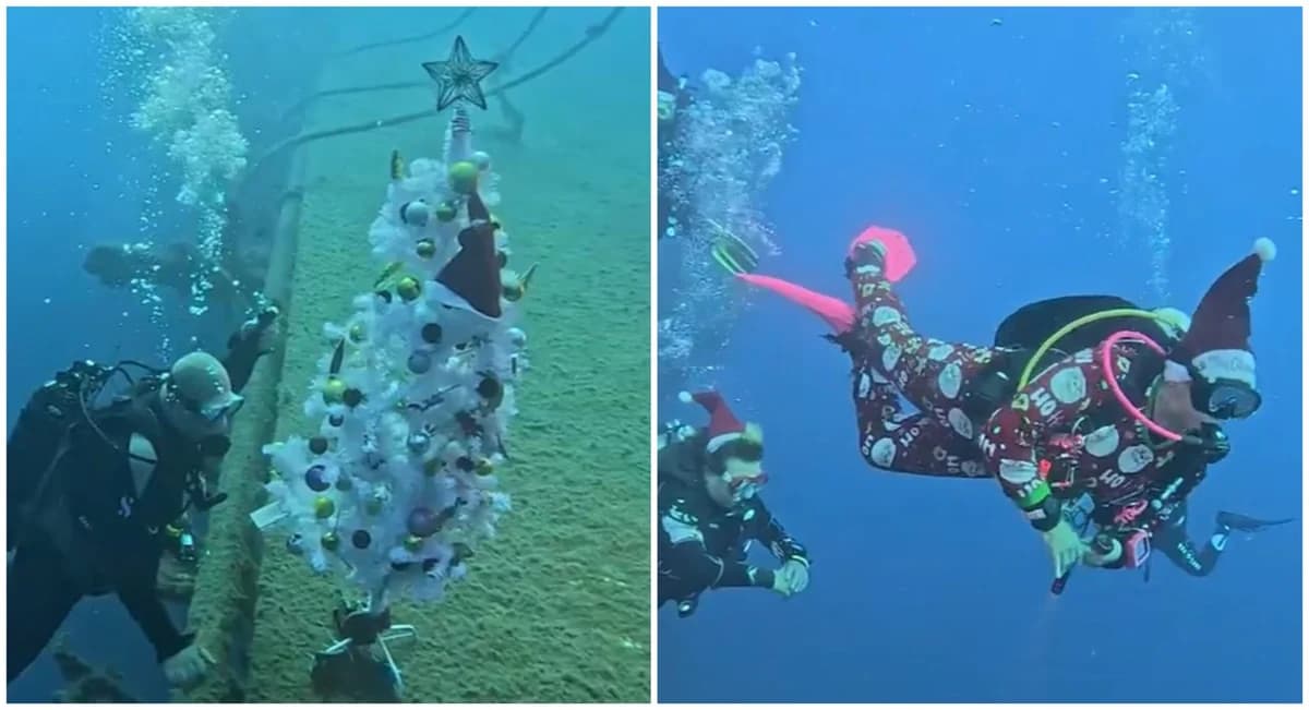 קישוט חג מולד מרהיב בספינה הטרופה זנוביה בלרנקה