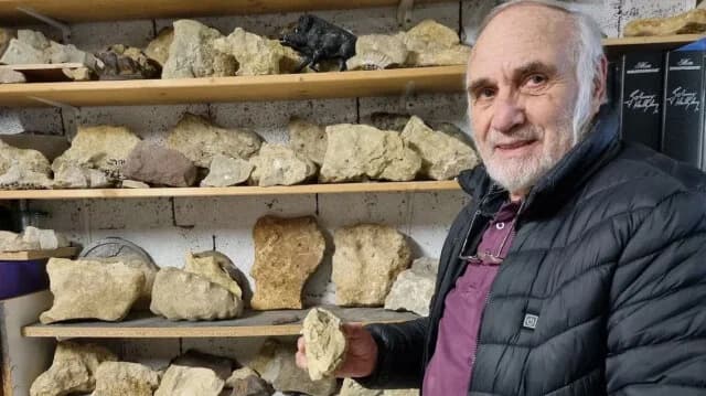 French Man Collects 6,000 Boar-Shaped Stones: His Theory