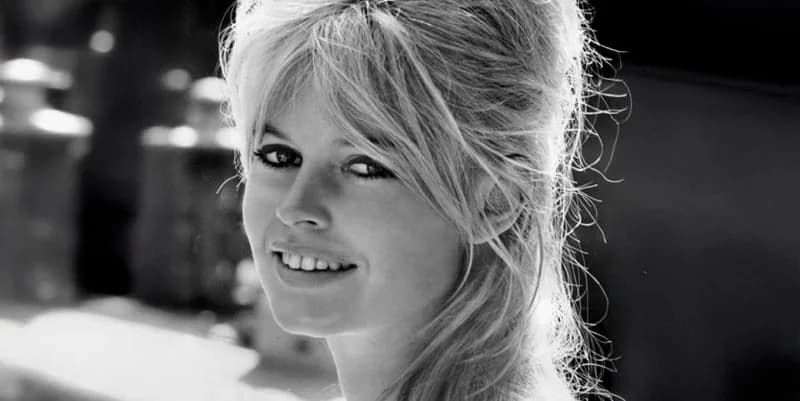 Brigitte Bardot, International Sex Symbol and Activist, Dies