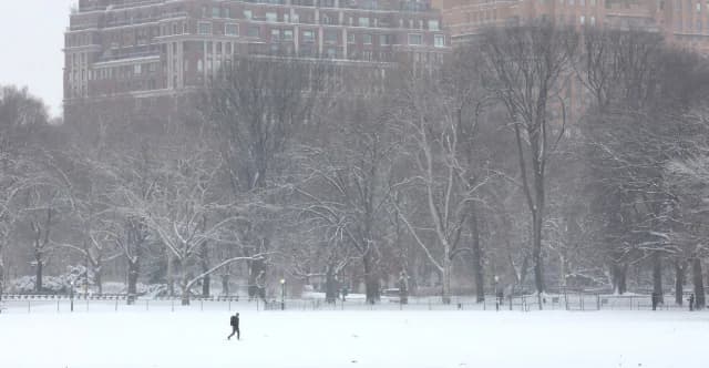 Nueva York declara estado de emergencia por ventisca: caos en vuelos y carreteras