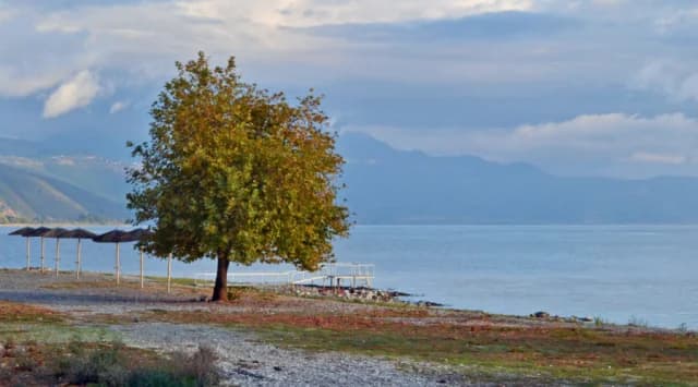 Un Caracol Conecta la Historia Evolutiva de los Lagos Trichonida y Ohrid