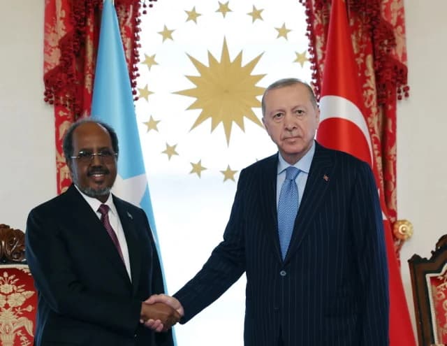 Erdogan: Israel's Recognition of Somaliland is Illegal