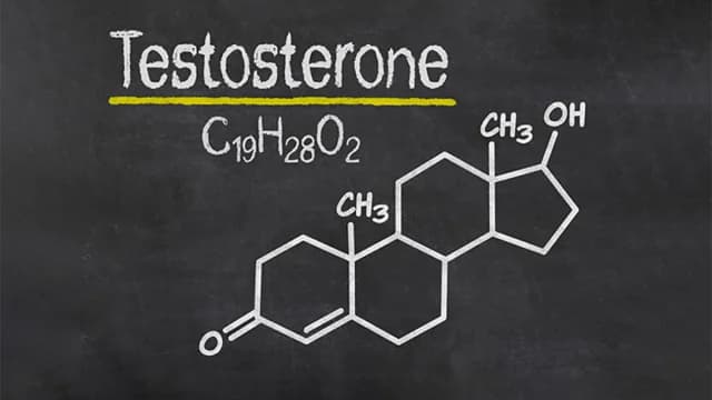 Testosteron und Prostata: Neue Daten zur Behandlung