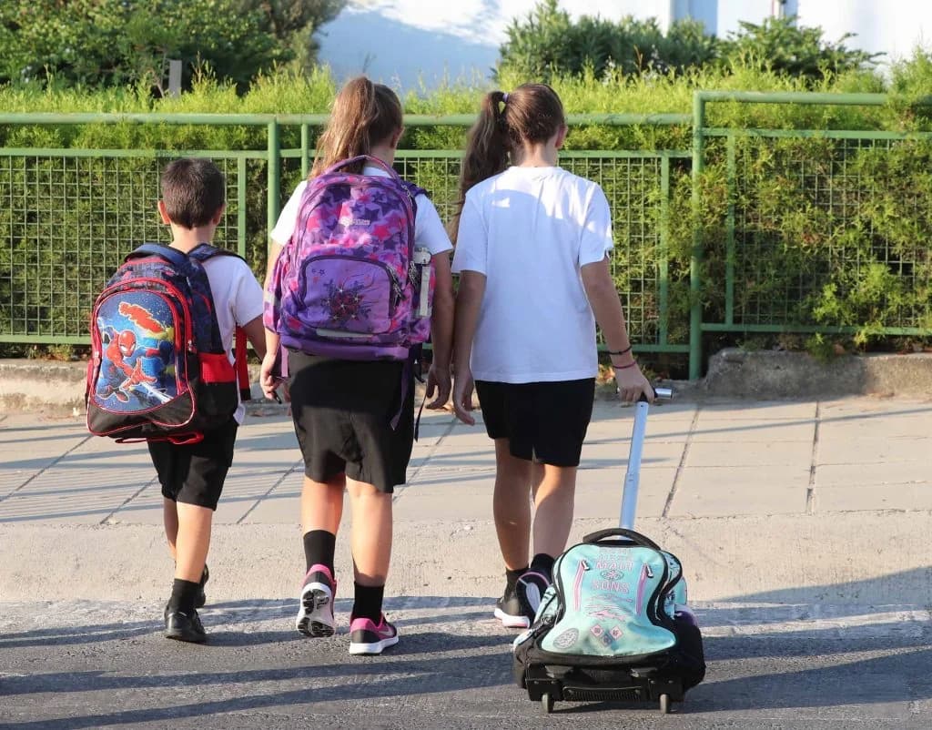 Electronic Enrollment in Primary Schools: What Parents Need to Know