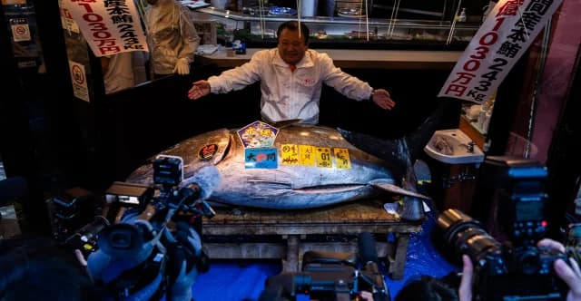 Tuna Sells for Record €2.7 Million in Tokyo