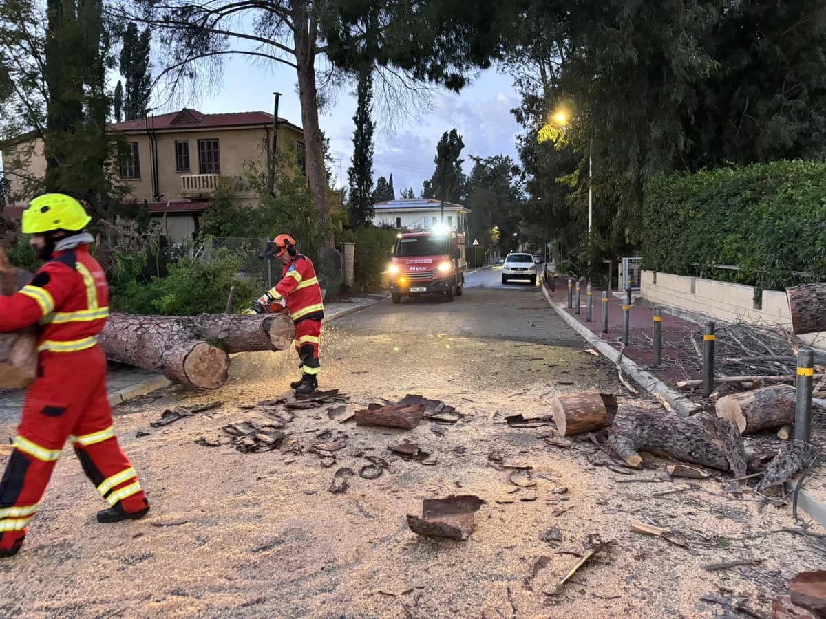 Nikosia: Schäden durch umgestürzte Bäume und Stromausfälle aufgrund starker Winde