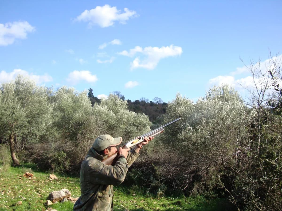 Pafos: Cazadores furtivos amenazan a guardias de caza con un arma