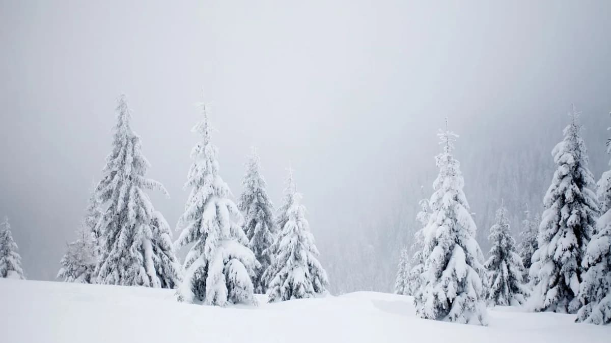 Cold Air Mass Bringing Snow and Rain to Cyprus