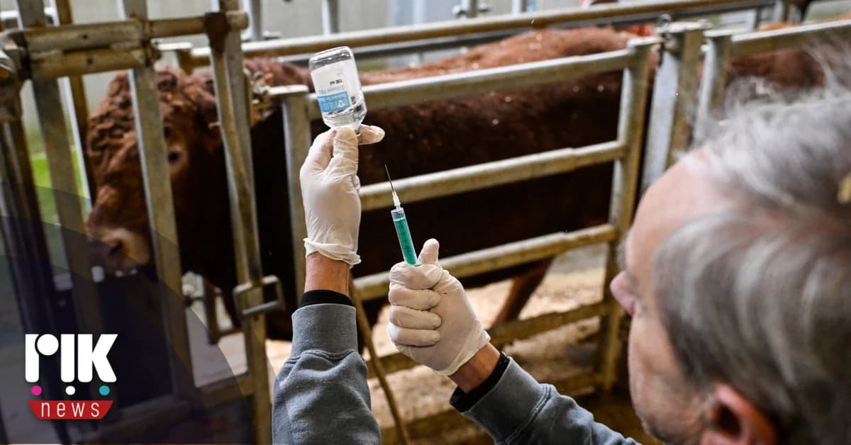 Cyprus: Sampling for Early Detection of Foot-and-Mouth Disease