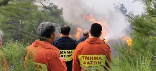 Feuer in der Gemeinde Pomos unter Kontrolle