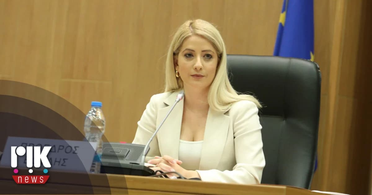 Annita Demetriou: Las dimisiones son positivas para la investigación