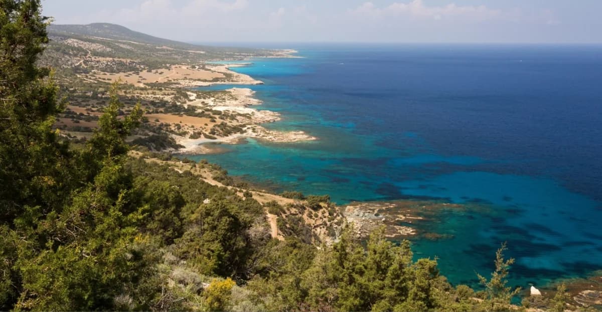 Auditor General Report: Millions Lost in Akamas Mismanagement Scandal