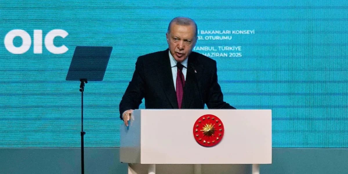 Arabische Länder lehnen türkische Positionen zu Zypern und Thrakien bei der OIC ab