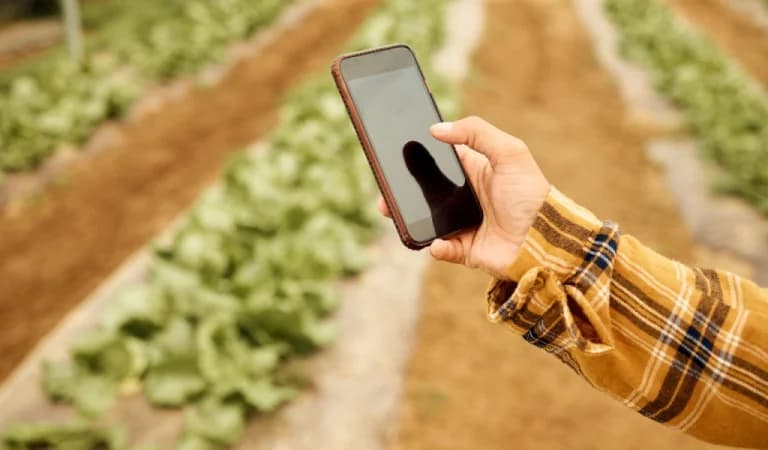 Agro-Verify: Neue App zur Rückverfolgbarkeit von Agrarprodukten