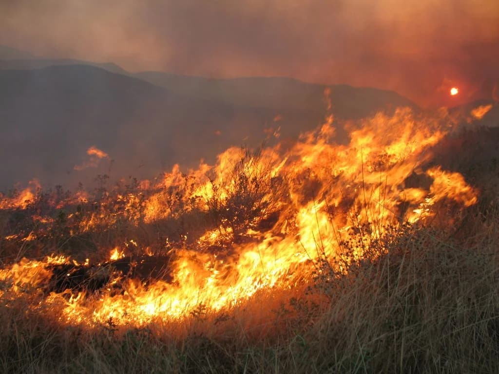 Fire in Heraklion: Extinguishing Operation and 112 Alert