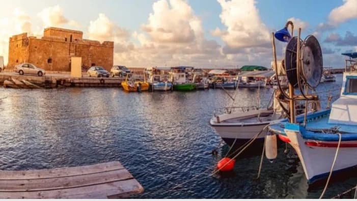 SOS from Paphos Fishermen Regarding Fish Stocks