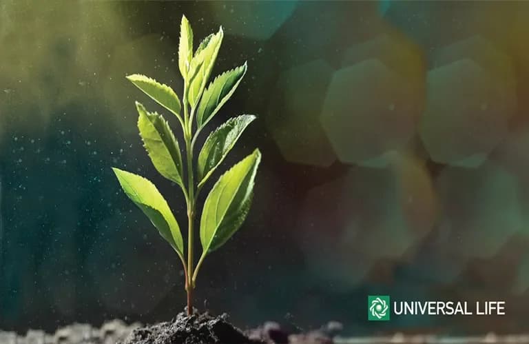 Universal Life supports reforestation in Cyprus