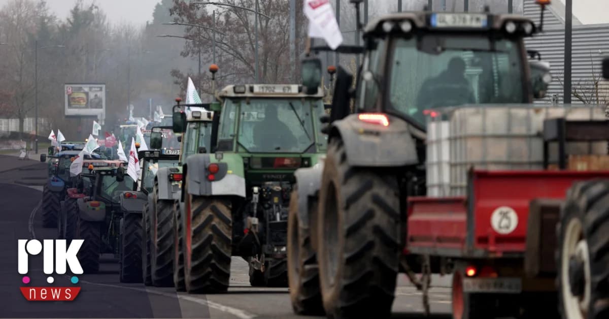 Mercosur Agreement: Provisional Implementation to be Realized