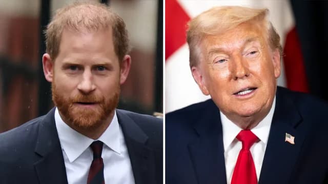 Принц Гарри ответил на заявления Трампа о НАТО в Афганистане