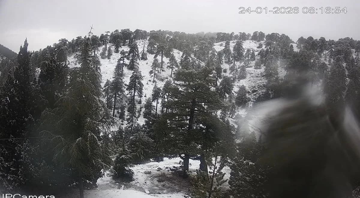 特罗多斯山新降雪：迷人景象
