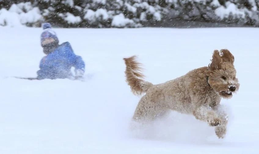 Tormenta invernal en EE. UU.: 15.000 vuelos cancelados, apagones generalizados