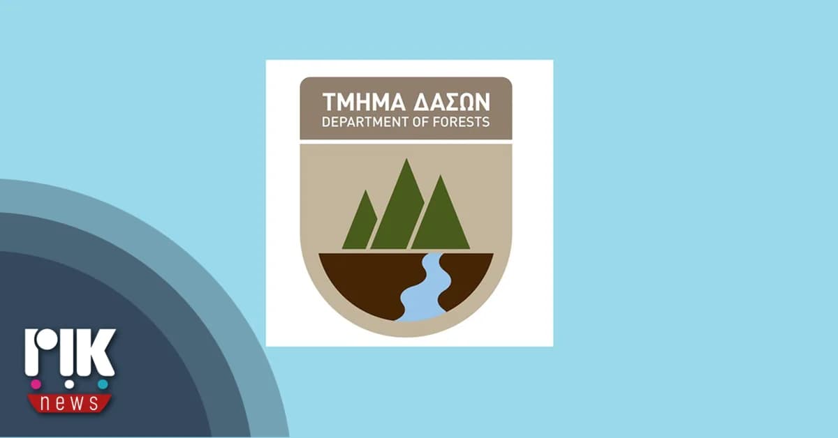 Forest Department Accepts Audit Service Recommendations