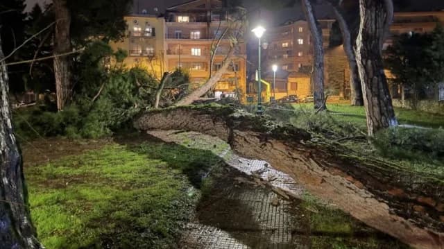 Caída de un pino en la residencia de ancianos de Ioannina debido a la lluvia