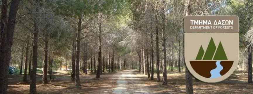 Informe de EY: Debilidades en la gestión del suelo forestal en Chipre