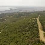 Informe sobre el Departamento Forestal: Concesiones de tierras sin documentación