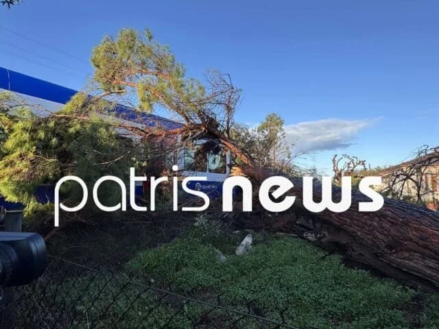 Pyrgos: Tree Falls on Train, Driver Injured