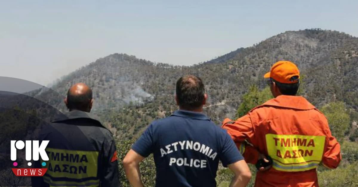 Informe de Auditoría sobre el Departamento Forestal: Denuncias de falta de transparencia