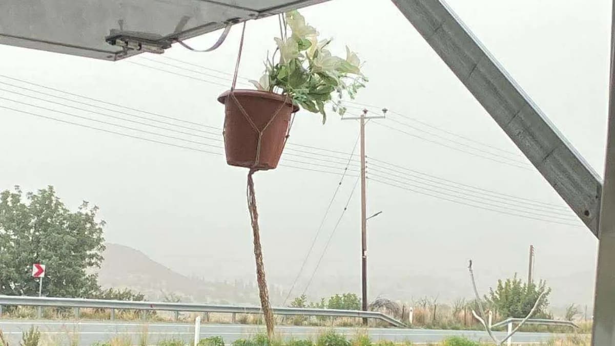 High Dust Concentrations in the Atmosphere – Recommendations