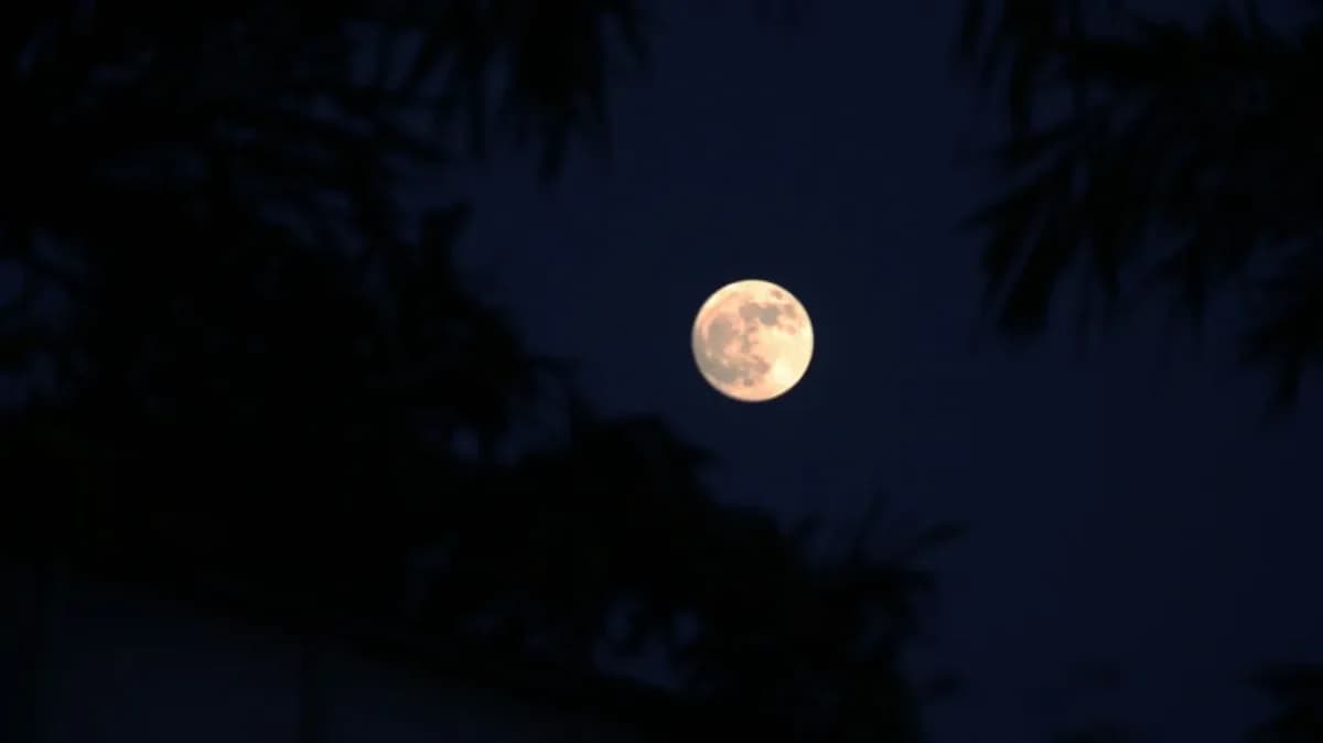 Luna llena de febrero: la 'Luna de Nieve' iluminará el cielo