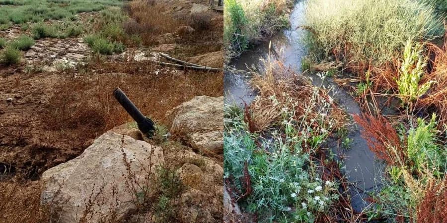 New Pig Slurry Leak Reported in Ovgos River