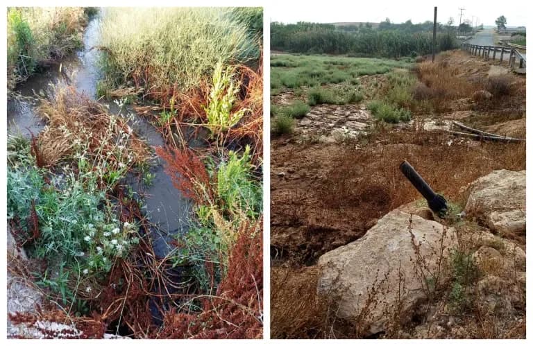 Complaint Filed Regarding Pig Waste Leakage into Ovgos River