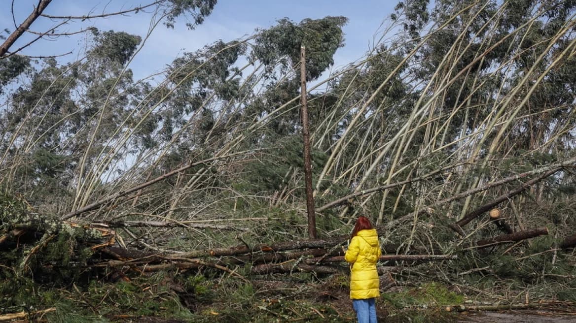 Portugal: Milliardenschäden nach Sturm Christine