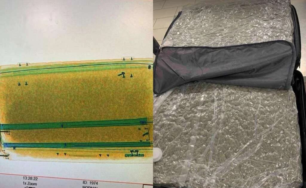 Hasta 11 años de prisión por importar 17 kg de cannabis a Chipre