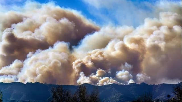 研究：野火烟雾每年导致 24,000 名美国人死亡