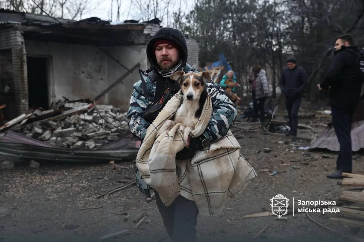 Ukraine: Russische Drohne trifft Tierheim in Saporischschja – Hunde getötet