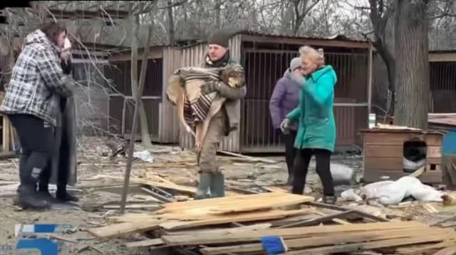 Russischer Drohnenangriff auf Tierheim in Saporischschja: Tote und Schäden