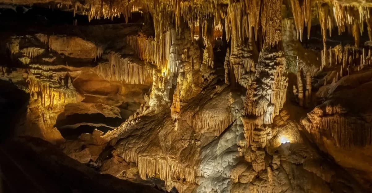 4900万年前的微生物开启了外星生命的可能性