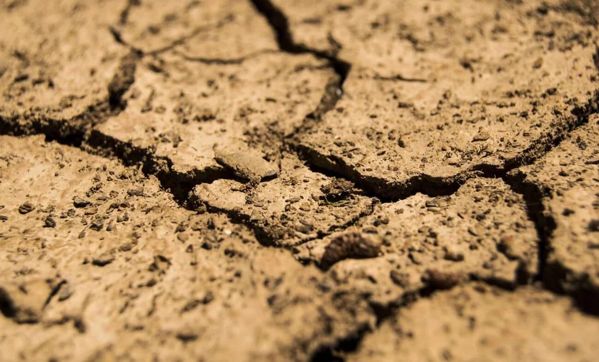 SOAC: Drought is the Biggest Risk to the Economy