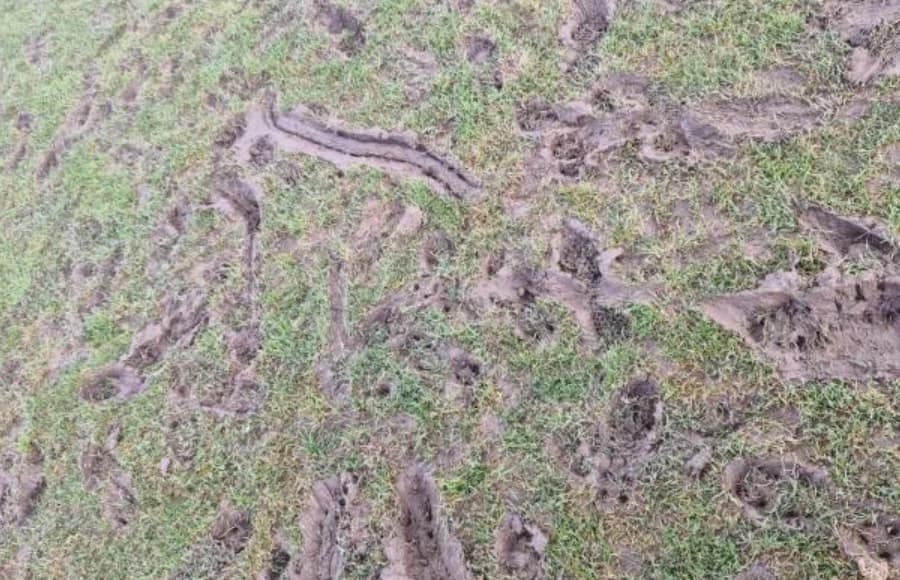 REA reagiert scharf auf die Bedingungen im Panarkadikos-Stadion