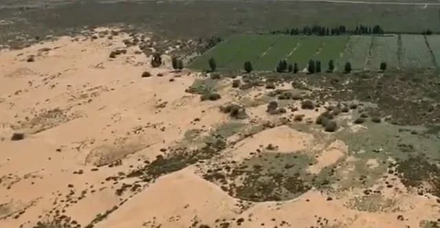China's Tree Planting to Combat Gobi Desert Backfires